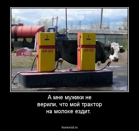 А мне мужики не верили, что мой трактор на молоке ездит.