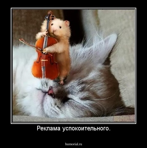 Реклама успокоительного.