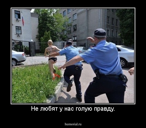 Не любят у нас голую правду.
