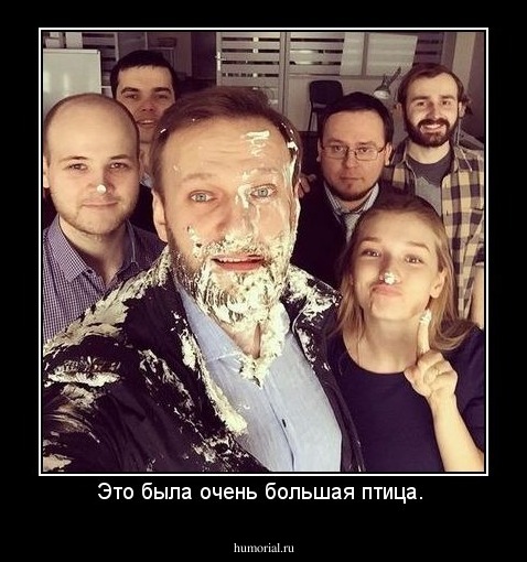 Это была очень большая птица. 