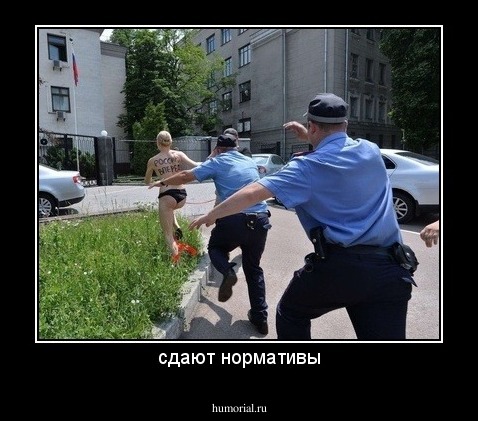 сдают нормативы