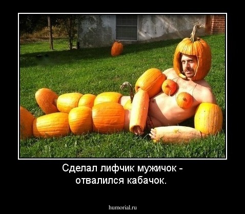 Сделал лифчик мужичок - отвалился кабачок.