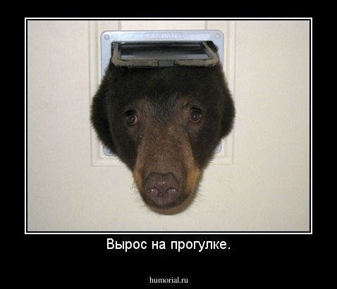 Вырос на прогулке.