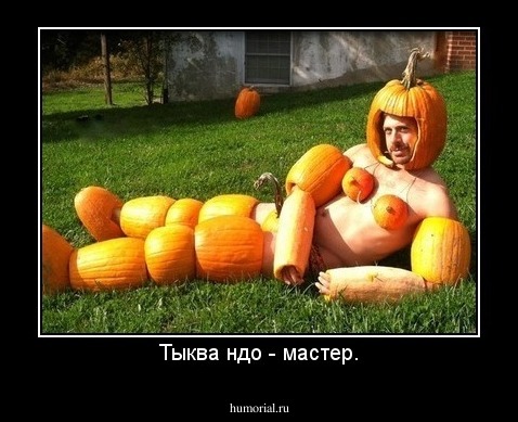 Тыква ндо - мастер.