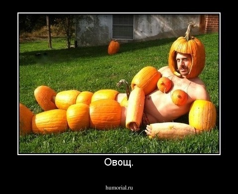Овощ.