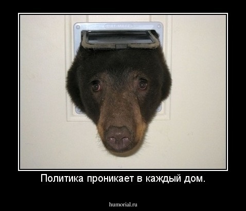 Политика проникает в каждый дом.
