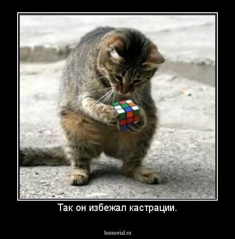 Так он избежал кастрации.