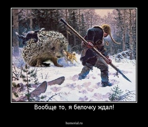 Вообще то, я белочку ждал!