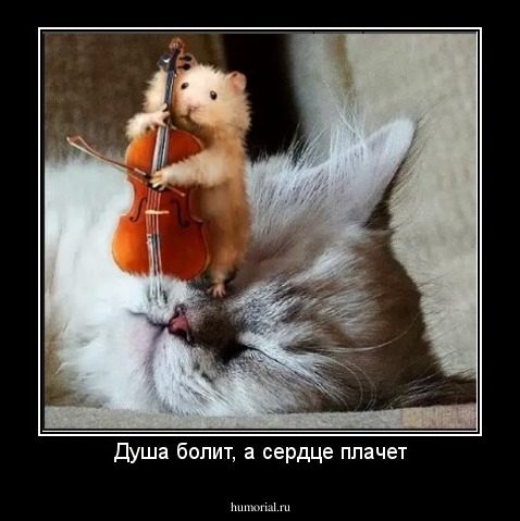 Душа болит, а сердце плачет