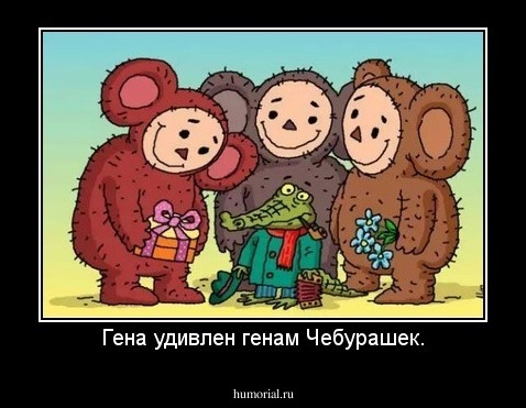 Гена удивлен генам Чебурашек.