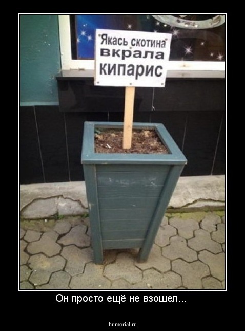 Он просто ещё не взошел... 