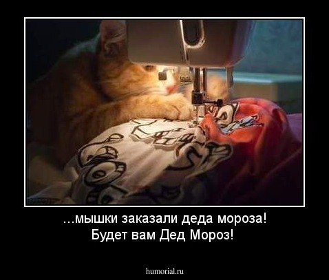...мышки заказали деда мороза! Будет вам Дед Мороз!