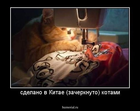сделано в Китае (зачеркнуто) котами