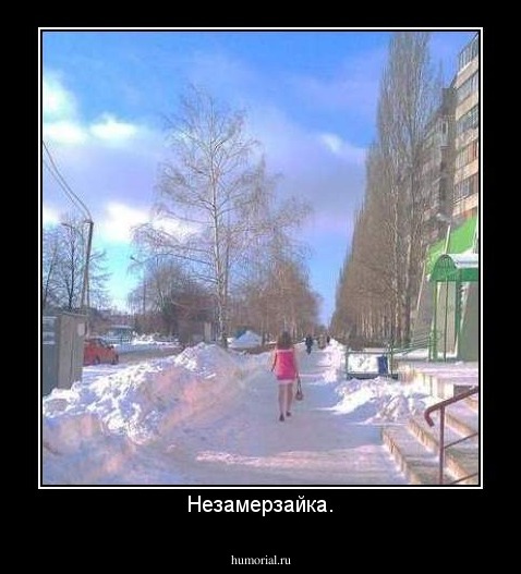 Незамерзайка.