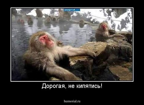 Дорогая, не кипятись!