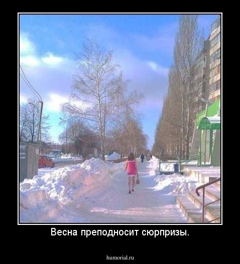 Весна преподносит сюрпризы.