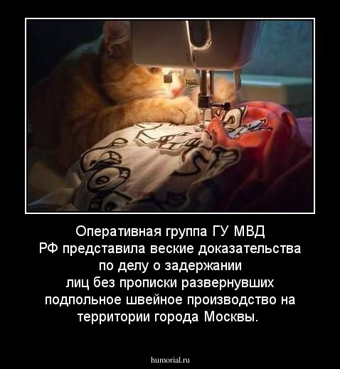 Оперативная группа ГУ МВД РФ представила веские доказательства по делу о задержании лиц без прописки развернувших подпольное швейное производство на территории города Москвы.