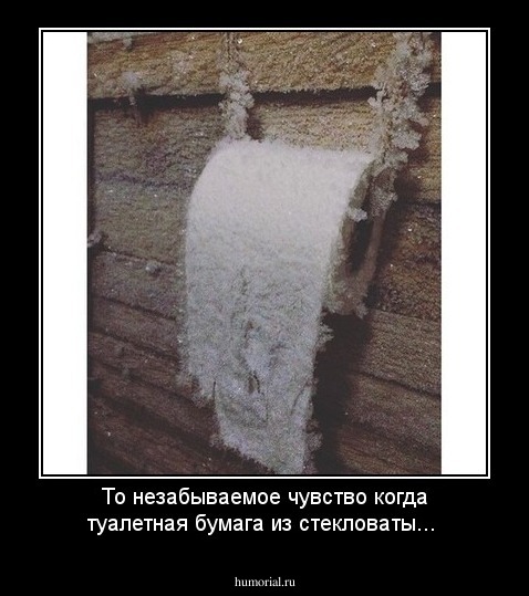 То незабываемое чувство когда туалетная бумага из стекловаты...