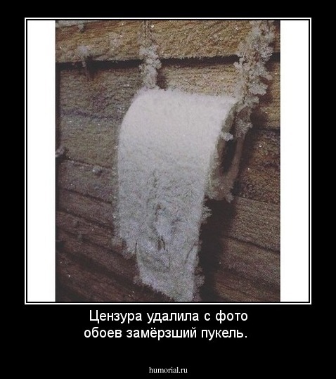 Цензура удалила с фото обоев замёрзший пукель.