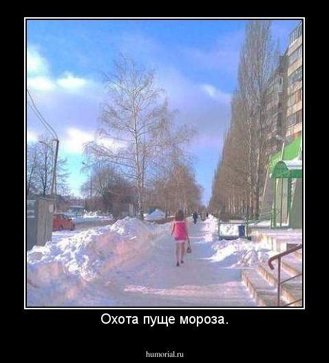 Охота пуще мороза.