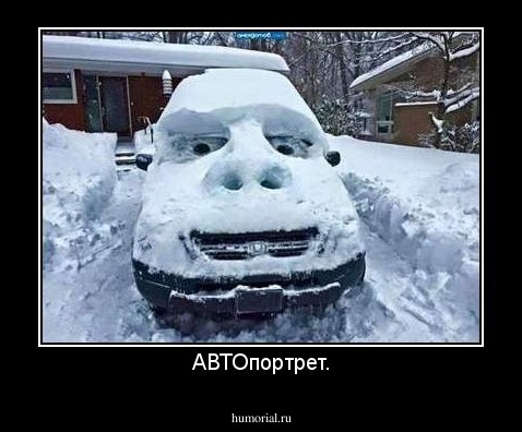 АВТОпортрет.