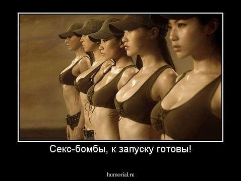 Секс-бомбы, к запуску готовы!