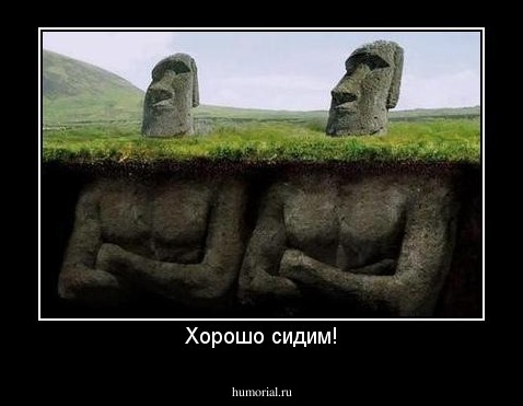Хорошо сидим!
