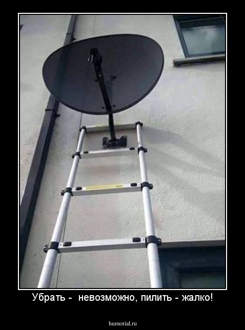Убрать -  невозможно, пилить - жалко!