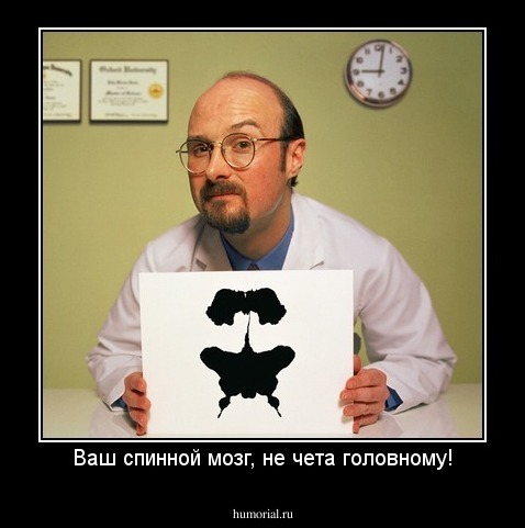 Ваш спинной мозг, не чета головному!