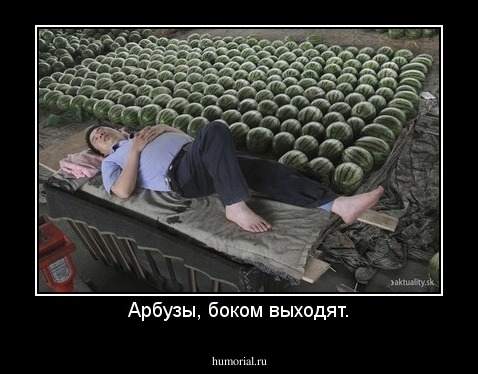 Арбузы, боком выходят.