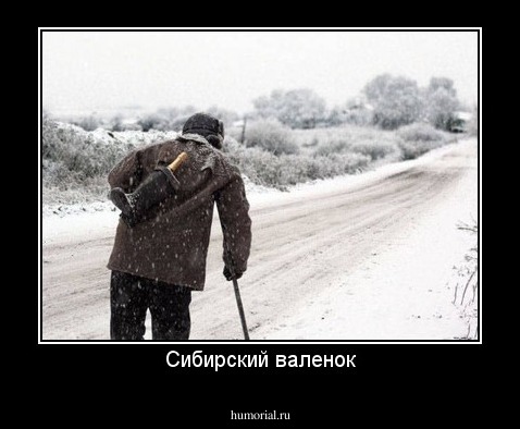 Сибирский валенок
