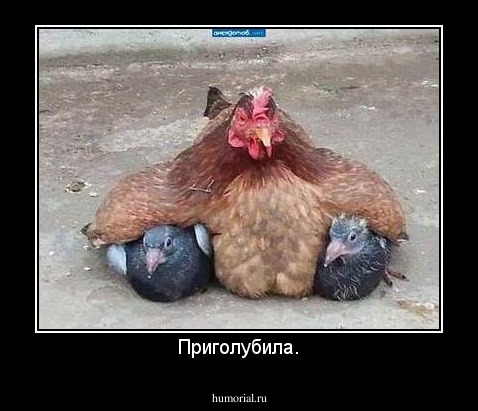 Приголубила.