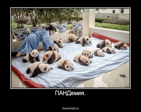 ПАНДемия.