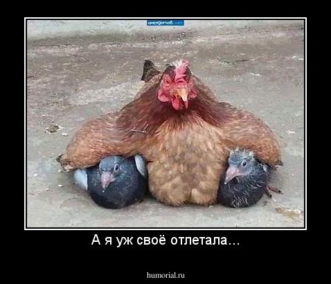 А я уж своё отлетала...