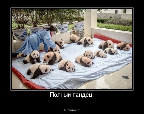 Полный пандец.