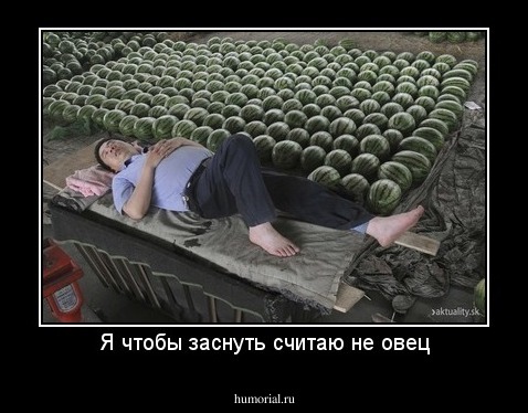 Я чтобы заснуть считаю не овец