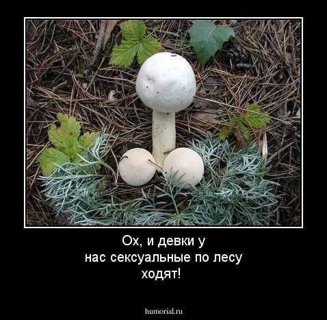 Ох, и девки у нас сексуальные по лесу ходят!