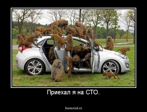 Приехал я на СТО.