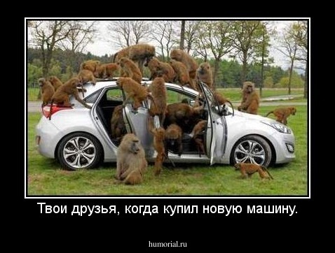 Твои друзья, когда купил новую машину.