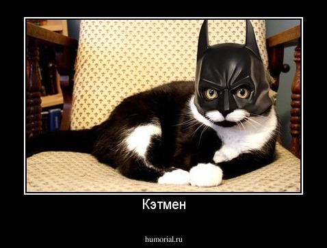 Кэтмен