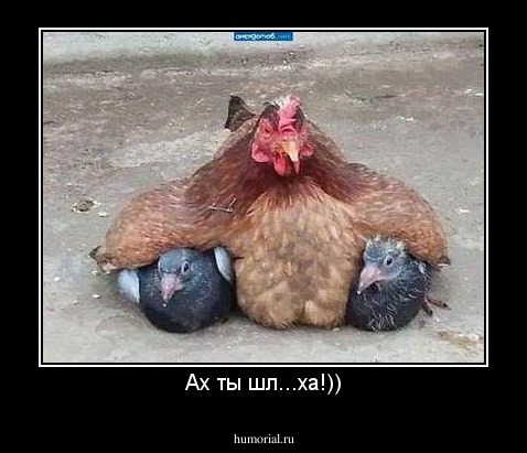 Ах ты шл...ха!))