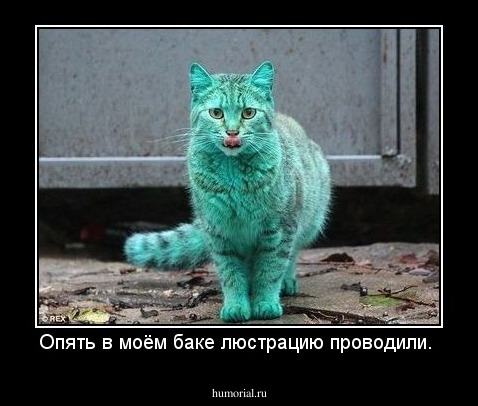 Опять в моём баке люстрацию проводили. 