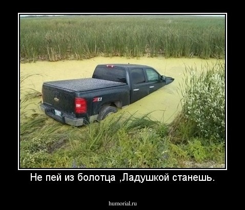 Не пей из болотца ,Ладушкой станешь.