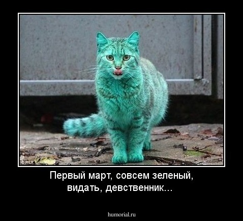 Первый март,  совсем зеленый, видать, девственник...