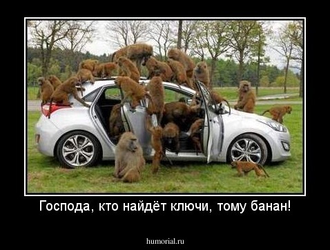 Господа, кто найдёт ключи, тому банан!