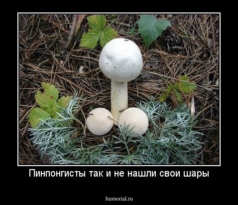 Пинпонгисты так и не нашли свои шары