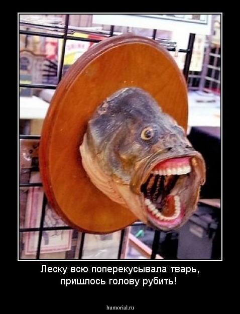 Леску всю поперекусывала тварь, пришлось голову рубить!