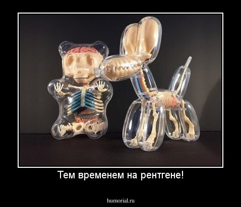Тем временем на рентгене!