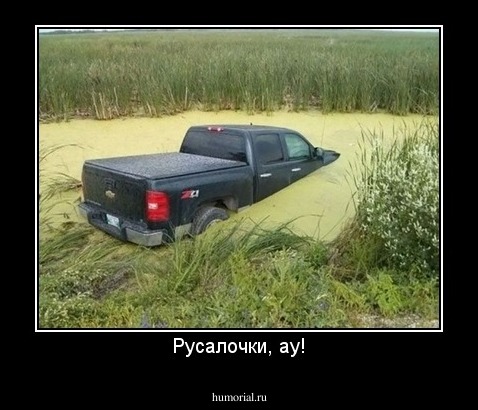 Русалочки, ау!