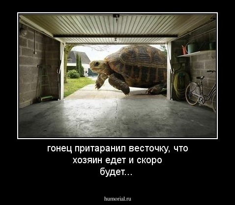 гонец притаранил весточку, что хозяин  едет и скоро будет...